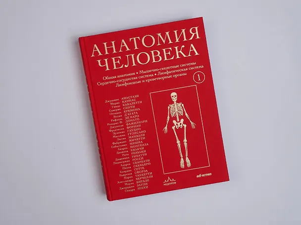 Книга Анатомия человека. Эксклюзивное издание с 50-летней историей. Том 1 (Джузеппе Анастази, Марио Каннас, Гвидо Кавалетти) — 17