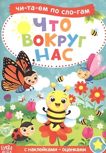 Что вокруг нас. Читаем по слогам. Книга с наклейками