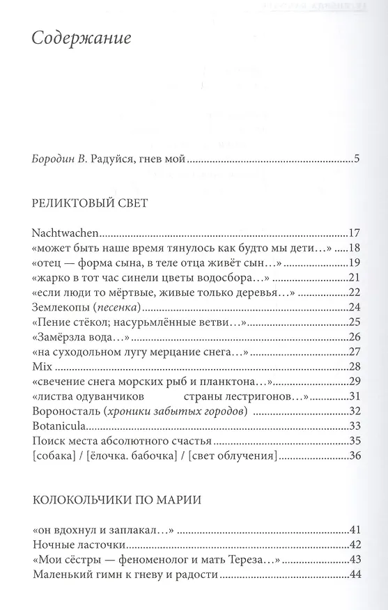 Книга Пока догорает азбука (Алла Горбунова) — 2