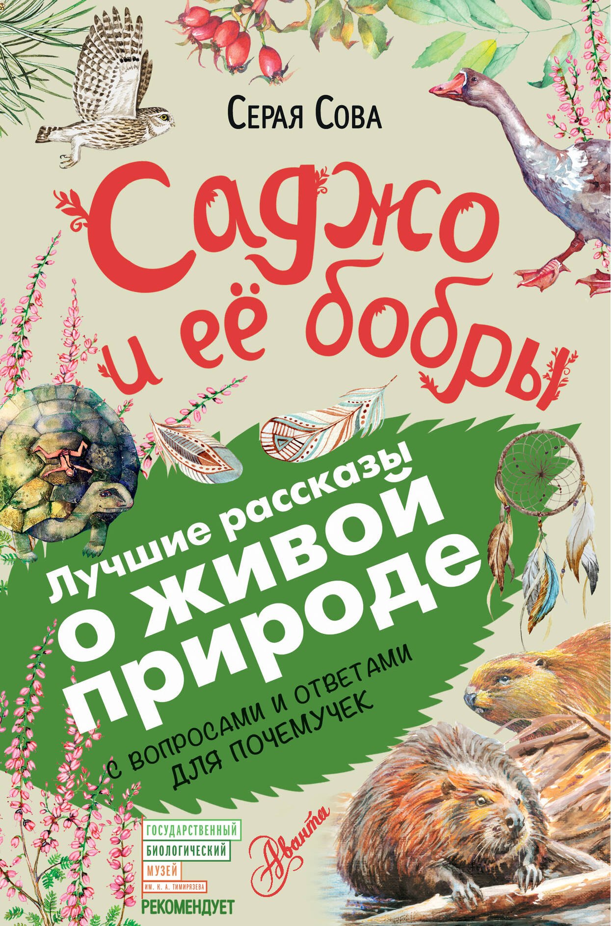 

Саджо и её бобры