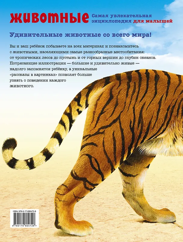Книга Животные (Марта Дебуш) — 2