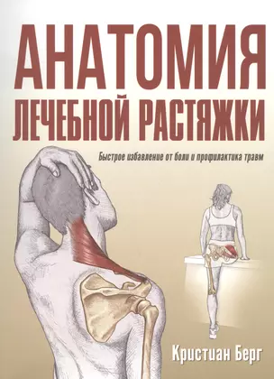 Анатомия лечебной растяжки: быстрое избавление от боли и профилактика травм — 2820240 — 1