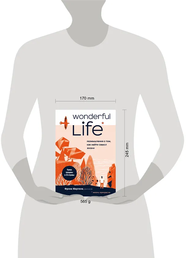 Книга Wonderful Life. Размышления о том, как найти смысл жизни (Фрэнк Мартела) — 5