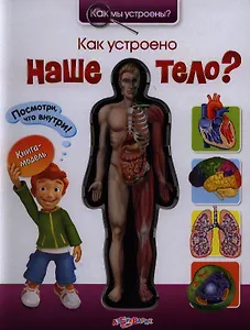 Как устроено наше тело?