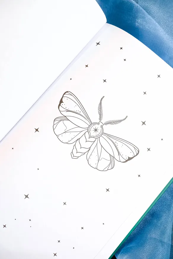 Книга Бессердечный охотник (Кристен Чиккарелли) — 17