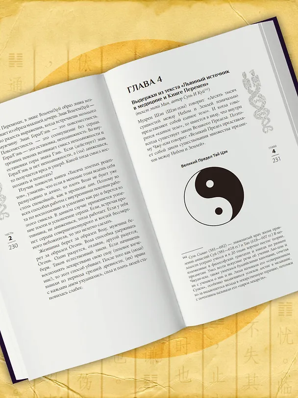 Книга Трактат Желтого императора. Китайские врачи о Книге Перемен (Бронислав Виногродский) — 14