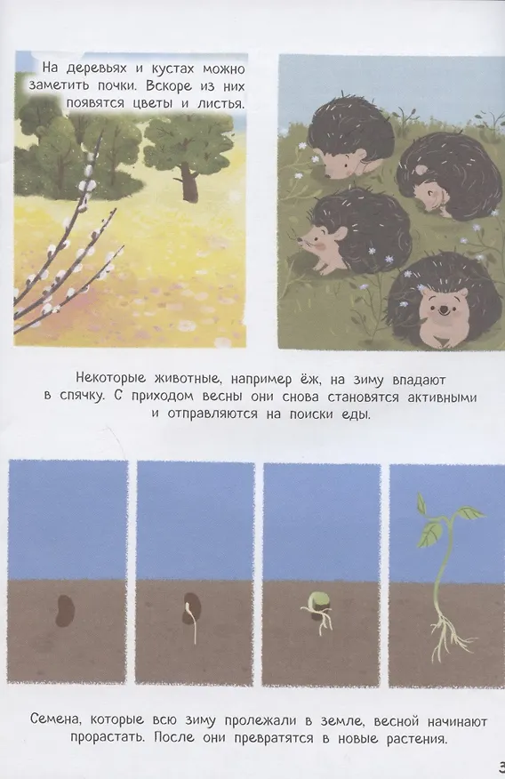 Книга Времена года с наклейками (Магда Малицкая) — 4