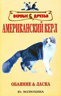 Американский керл :стандарт, содержание и уход, разведение, олезни и лечение, выставки — 2166192 — 1