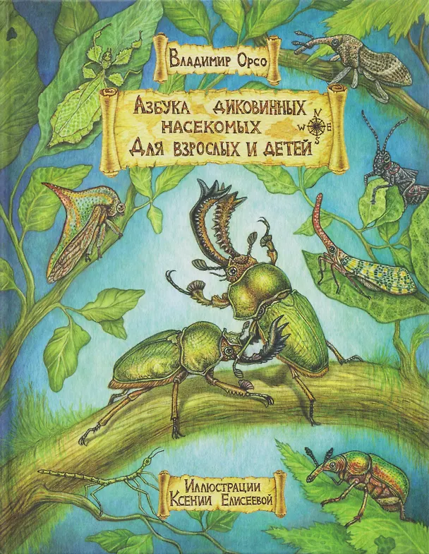 Книга Азбука диковинных насекомых: Для взрослых и детей (Владимир Орсо) — 1