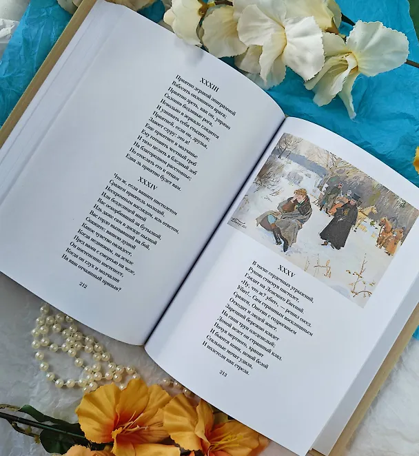 Книга Евгений Онегин (Александр Пушкин) — 13