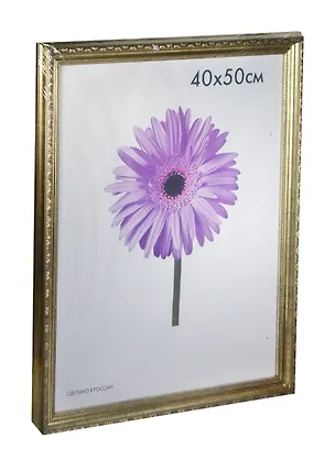 Фоторамка пластик 40*50 "Dorothy" серебряная, 100 рамок 225651