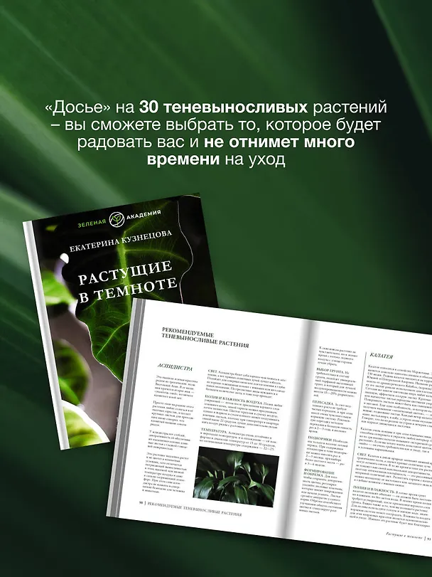 Книга Растущие в темноте. Комнатные растения для укромных уголков вашего дома (Екатерина Кузнецова) — 8