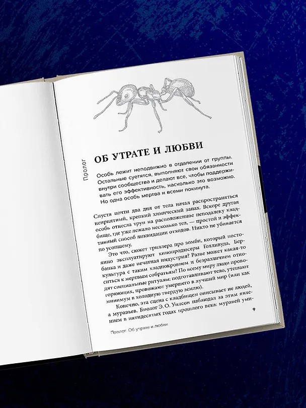 Книга Как животные скорбят. Что чувствуют кошки, слоны, дельфины и другие, теряя близких (Барбара Дж. Кинг) — 14