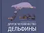 Другое человечество. Дельфины — 2451971 — 1