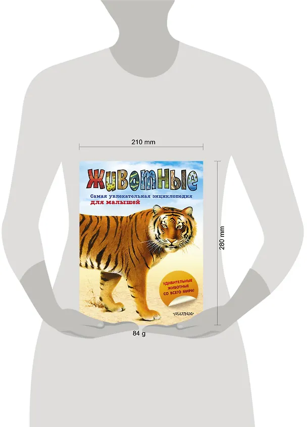 Книга Животные (Марта Дебуш) — 4