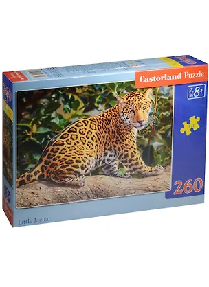 Пазл Castorland MIDI Маленький ягуар 260эл. B-27392 2563169