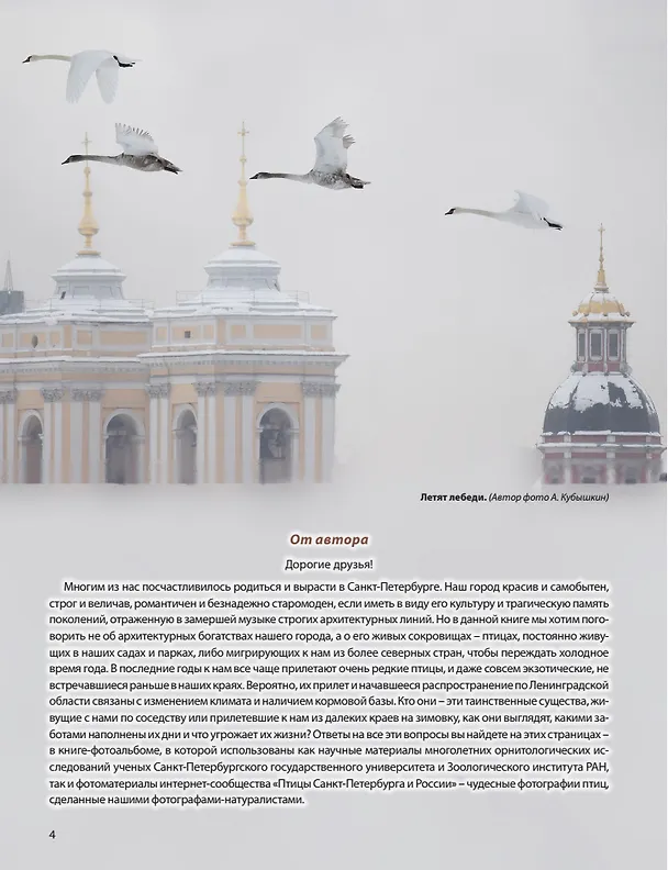 Книга Птицы: живые сокровища Санкт-Петербурга и его пригородов (Ирина Шемарова) — 7