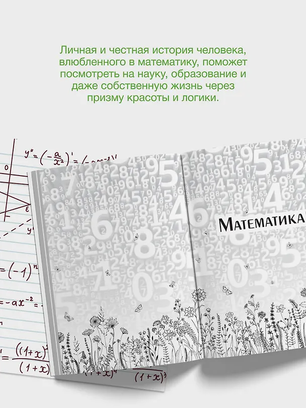 Книга Живая математика. Нематематическая книга о вдохновении, науке, образовании и жизни (Алексей Савватеев) — 7