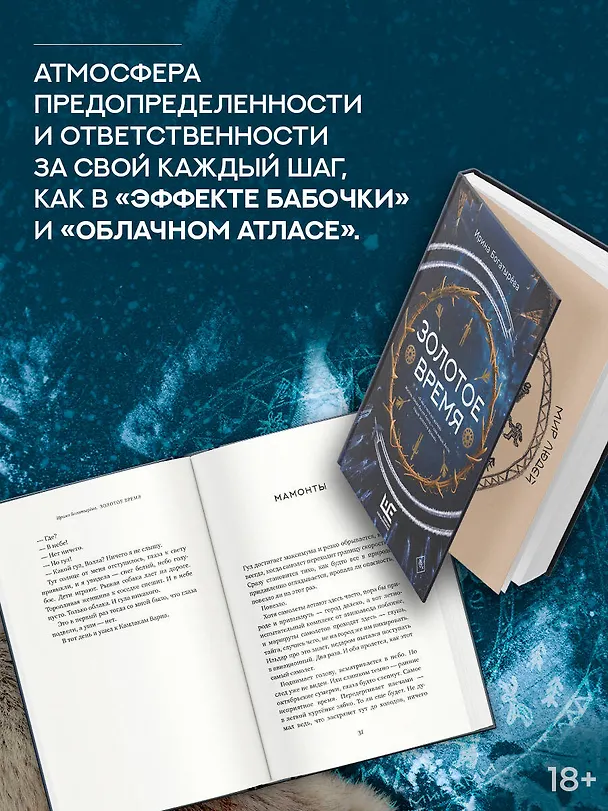 Книга Золотое время (Ирина Богатырева) — 8