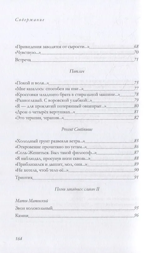 Книга Вечная Мировая: книга стихотворений (Сергей Ивкин) — 4