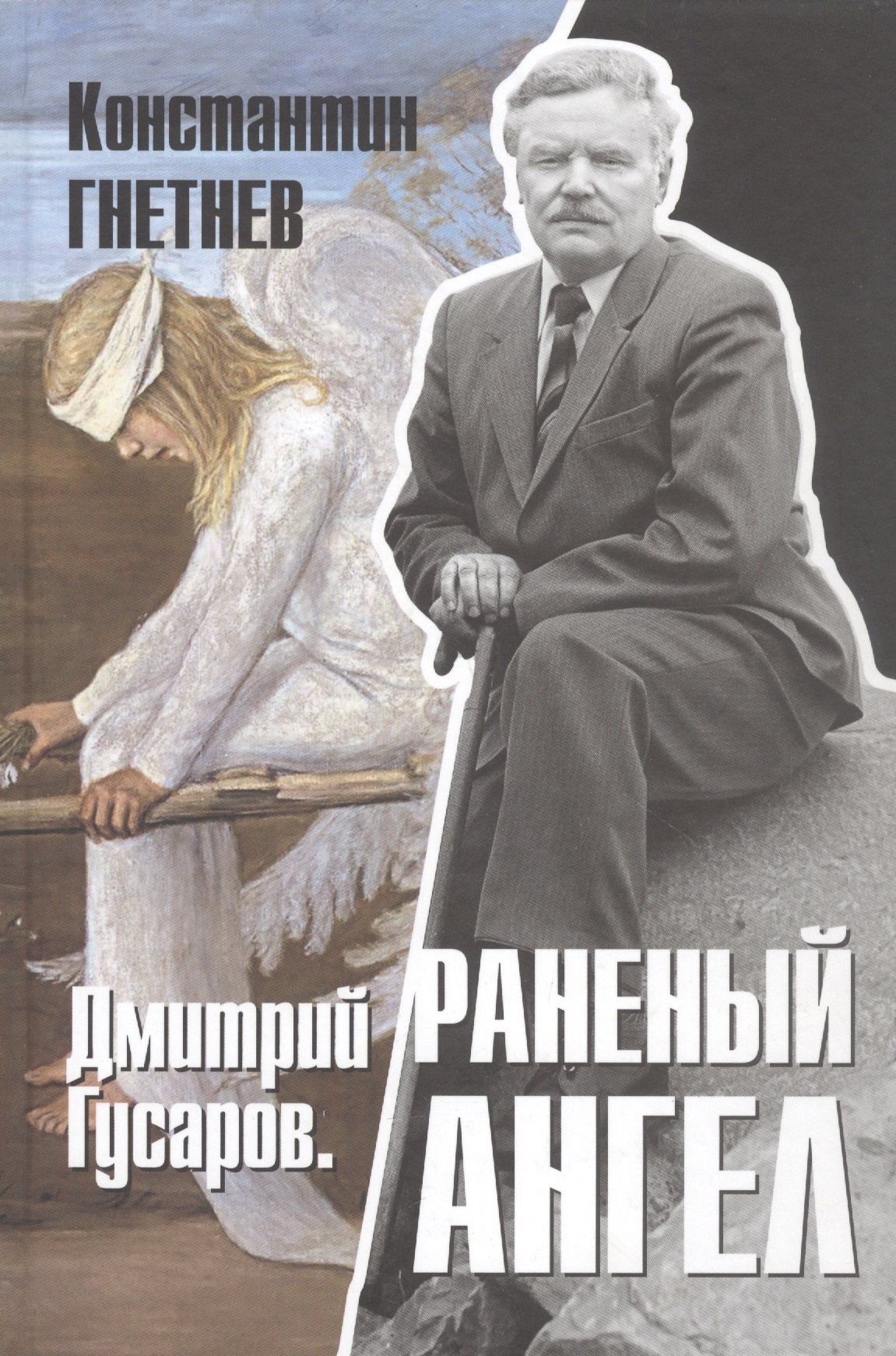 

Дмитрий Гусаров. Раненый ангел