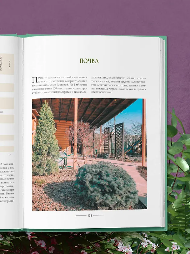 Книга Секреты малоуходного сада. Как создать дизайн участка с неприхотливыми декоративными растениями (Татьяна Селезнева) — 12