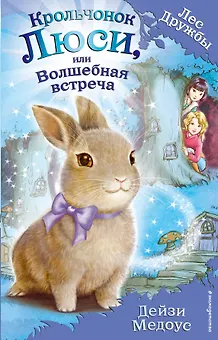 Крольчонок Люси, или Волшебная встреча : повесть