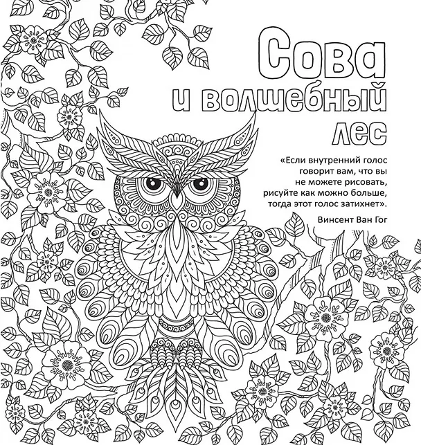 Книга Антистресс-раскраска. Сова и волшебный лес () — 2