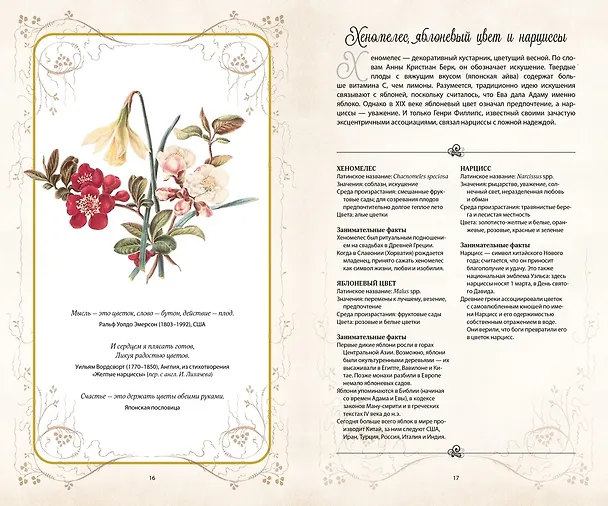 Книга Тайный язык цветов (Джилл Дэвис, Джилл Сондерс) — 6