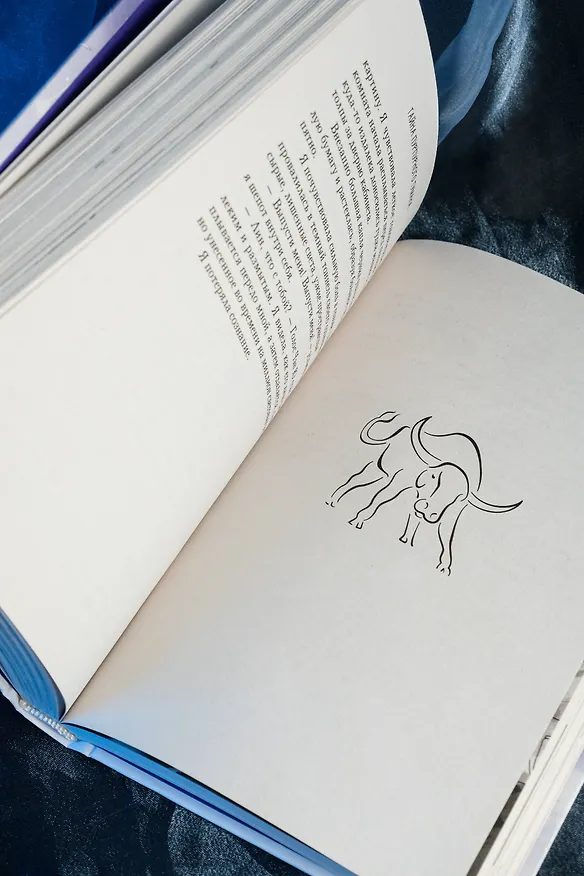 Книга Тайна пурпурного тумана. Одинокий огонек (Янь Цзин) — 18