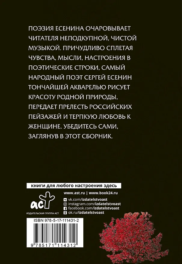 Книга И опять и живу, и надеюсь (Сергей Есенин) — 2