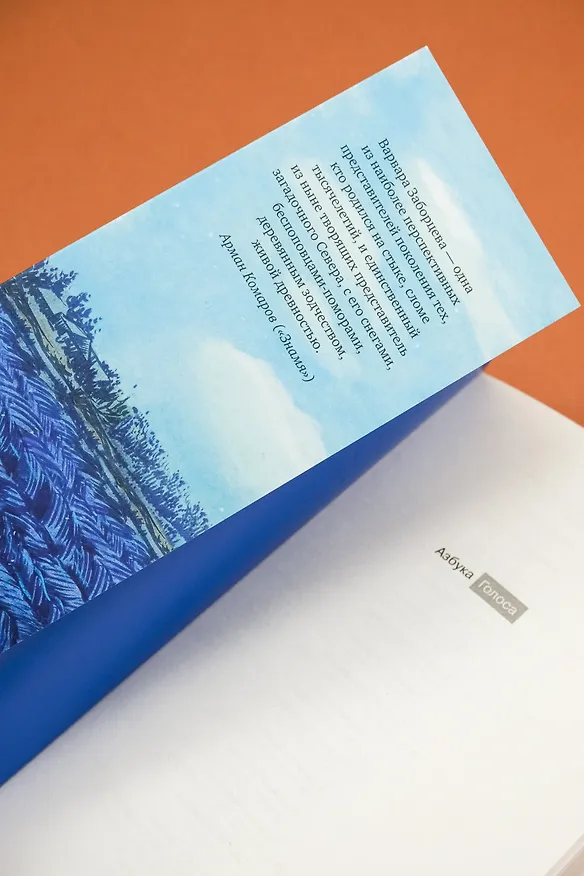 Книга Береги косу, Варварушка (Варвара Заборцева) — 12