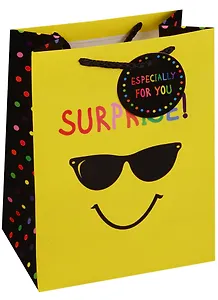 Пакет подарочный бумажный А5 23*18*10 "Cool guy", нейтр, мат. ламинат, Kairui