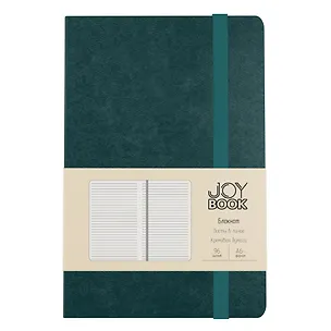 Записная книжка А6- 96л лин. "Joy Book. Морской залив" 7БЦ., иск.кожа, тонир.форзац, тонир.блок, скругл.углы, сшит.блок, ляссе, резинка, карман на задн.форзаце 3125991