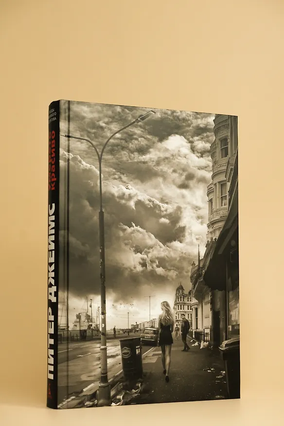 Книга Умереть красиво (Питер Джеймс) — 10