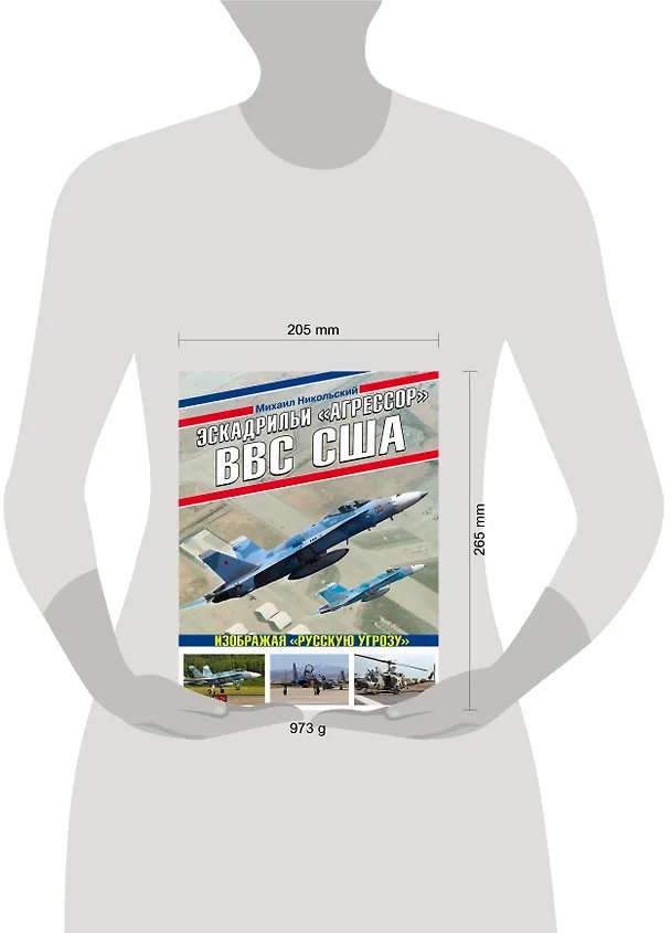 Книга Эскадрильи "Агрессор" ВВС США: Изображая "Русскую угрозу" (Михаил Никольский) — 5
