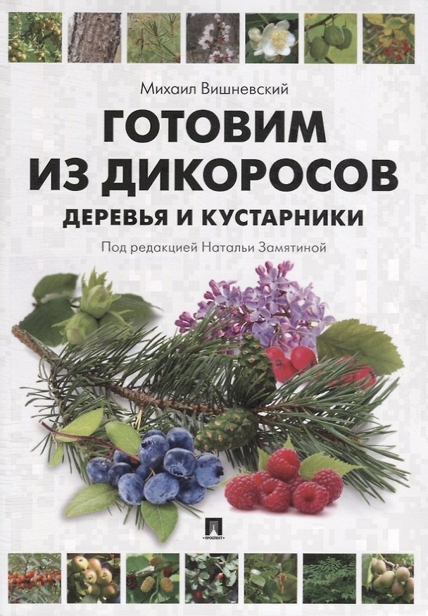 Книга Готовим из дикоросов. Деревья и кустарники. (Михаил Вишневский) — 1