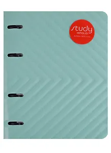 Тетрадь на кольцах в клетку InFolio, Delta, 120 листов, мятная