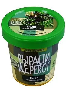 Набор для выращивания растений, Вырасти, Дерево! Кедр дальневосточный zk-070