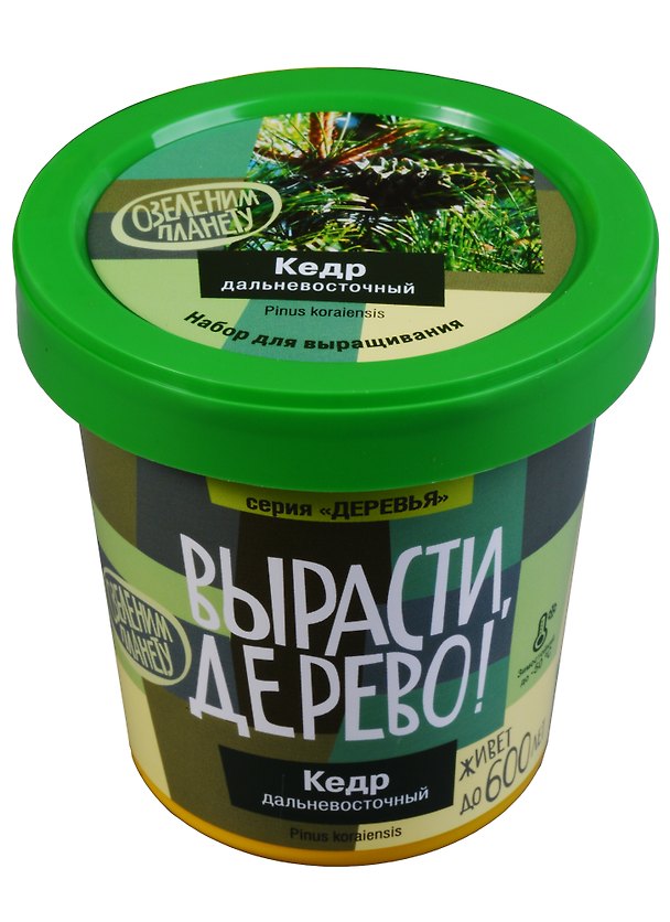 Набор для выращивания растений, Вырасти, Дерево! Кедр дальневосточный zk-070 2634021 — 1