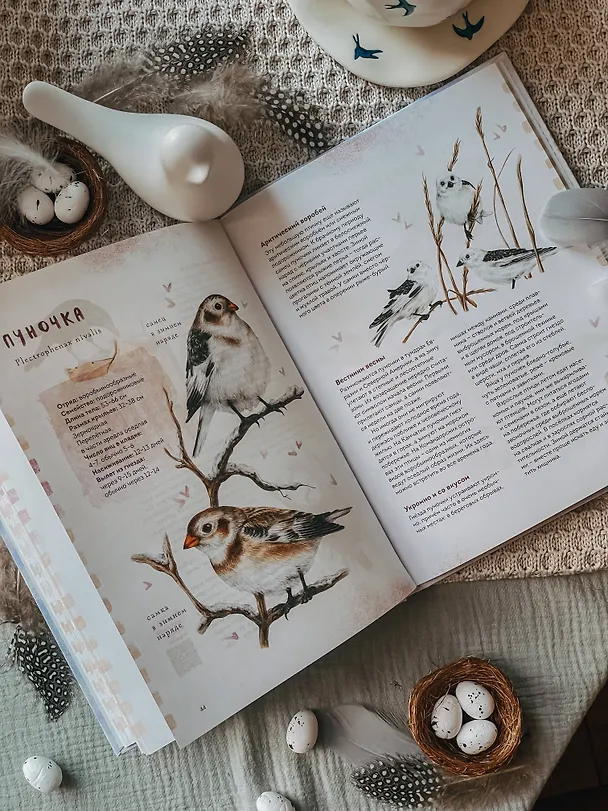 Книга Птицы Камчатки и Командорских островов. Где найти и как узнать (Анна Евсеева) — 12