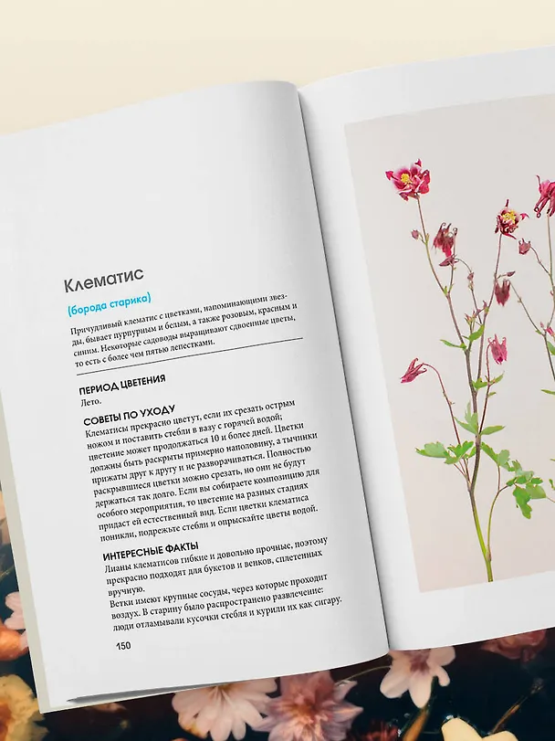 Книга Цветы для букета. Справочник срезанных цветов для начинающего флориста. Что и когда покупать и как продлить цветам жизнь (Калверт Крари, Брюс Литтлфилд) — 11