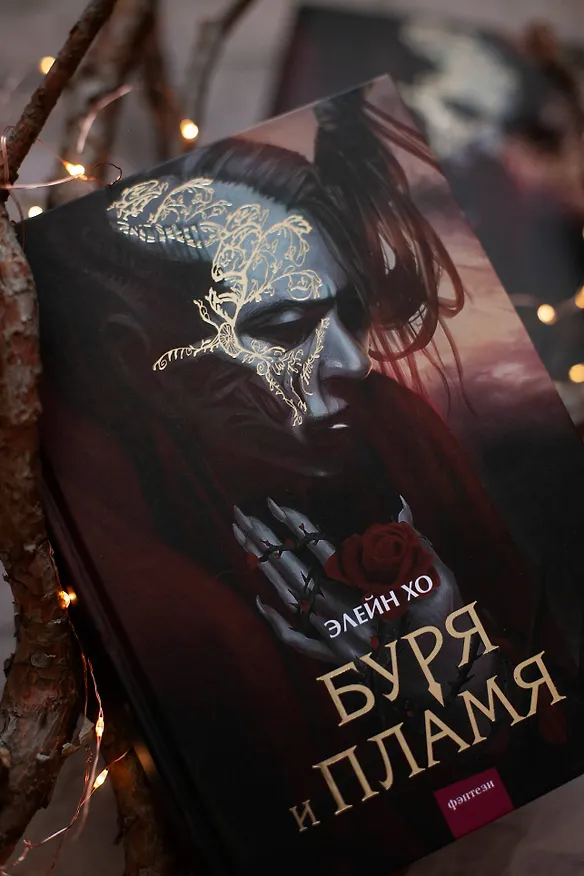 Книга Буря и пламя (Элейн Хо) — 8