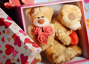 Набор игрушек с сердцем из 2 шт. в подарочной коробке (13х13х8) (4 в.) (192-104)