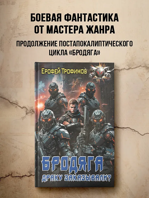 Книга Бродяга. Драку заказывали? (Ерофей Трофимов) — 4