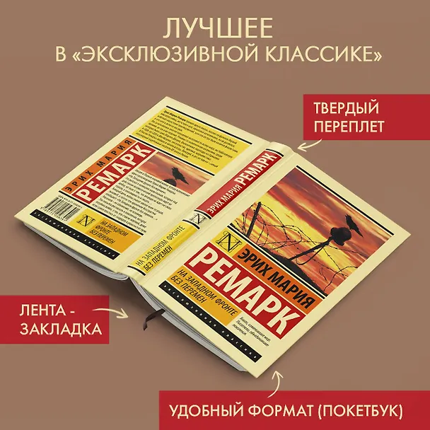 Книга На Западном фронте без перемен (Эрих Мария Ремарк) — 6