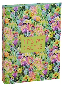 Папка 2кольца А4 "Blooming cactus"