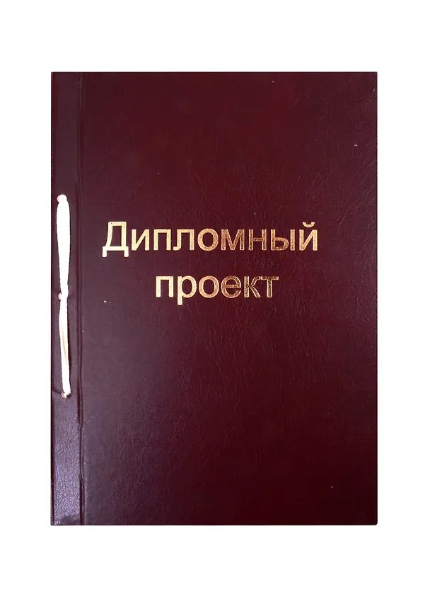 Папка для дипломной работы А4, бумвинил, 100 листов, бордо, Феникс+ 257000 — 1