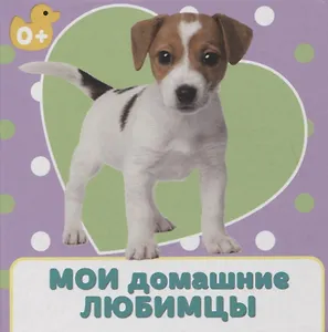 Мои домашние любимцы