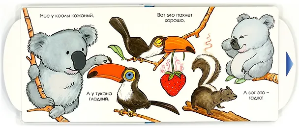Книга Вот так нос! (Мэтью Ван Флит) — 3